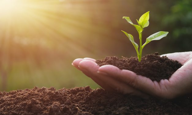 #048 Focus On What You Want