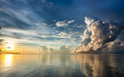 #53 Relationships Heartbreak and trauma from the Past