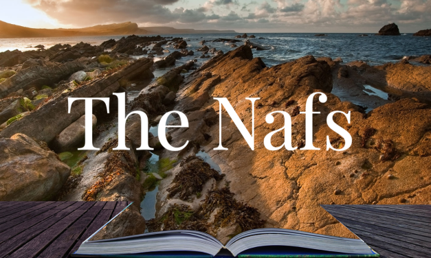 #067 How the Science of the Nafs transformed my life
