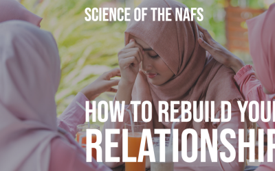 #083 How to rebuild your Relationship fast
